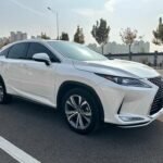 Lexus RX 500h F Sport Performance Thrill: Top Chinese EV Companies
