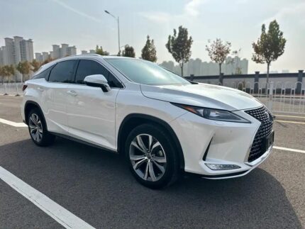 Lexus RX 500h F Sport Performance Thrill: Top Chinese EV Companies