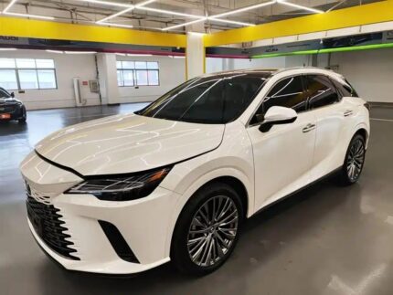 Lexus RX: Premier Where to Buy Used Cars in China Option