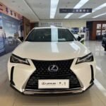 Lexus UX 2019 Agile: Top 3 Chinese EV Companies
