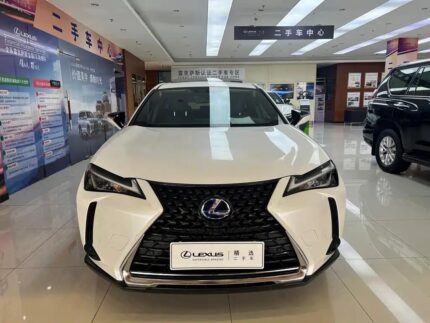 Lexus UX 2019 Agile: Top 3 Chinese EV Companies