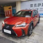 Lexus UX 2019 Comfort: Top 5 Chinese EV Companies