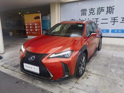 Lexus UX 2019 Comfort: Top 5 Chinese EV Companies