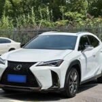 Lexus UX 2019 Refined: Leading Chinese EV Car Companies