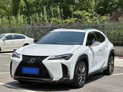 Lexus UX 2019 Refined: Leading Chinese EV Car Companies