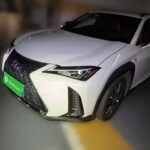 Lexus UX 2020 Stylish: Top 10 Chinese EV Companies
