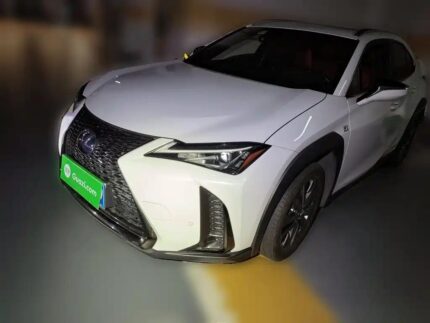Lexus UX 2020 Stylish: Top 10 Chinese EV Companies