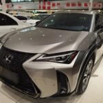 Lexus UX 2021 Compact Luxury: New Chinese EV Trends