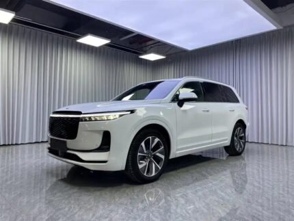 Li 1 Acupuncture Point Benefits Harmony: Best Chinese EV Companies