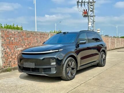 Li-9: Insight What Is the Most Used Car Brand in China