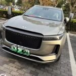 Li An Foodstuff: Nourishing All Chinese Electric Cars Alt