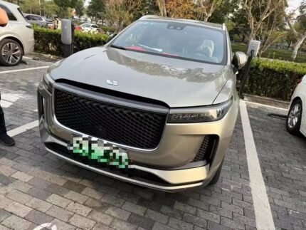 Li An Foodstuff: Nourishing All Chinese Electric Cars Alt