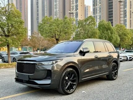 Li Do One: Versatile Best Chinese Hybrid Cars Export