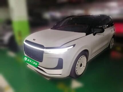 Li Garden City One Tranquil: Top Chinese EV Companies