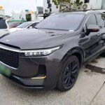 Li-Ion 00 Battery Tech: New Chinese EV Trends