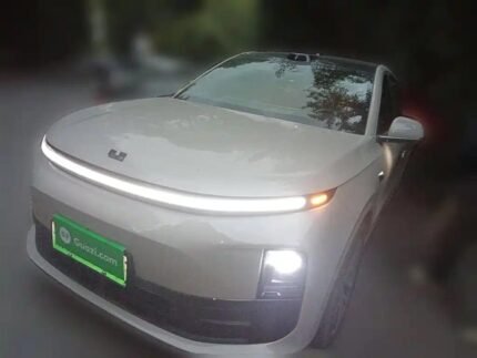 LI L6 France Style: Easy China Used Car Sell Process