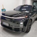 Li L7 Europe Appeal: I Bought a Chinese Car Stories