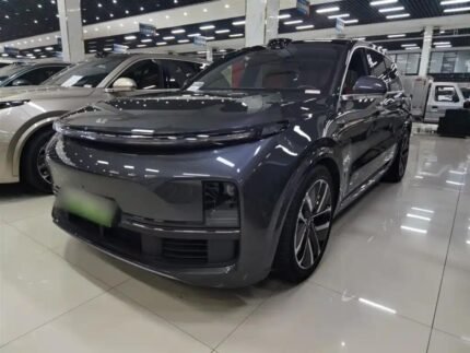 Li L9 Deutschland Preis Value: Best Chinese EV Rivals