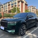 Li Ning 1 String: Unique All Chinese Cars Hybrid