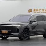 Li One: Innovative Top Chinese EV Companies Export