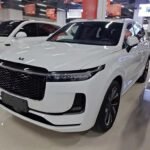 Li Xiaolu and PG One Inspired: Chinese EV Car Companies