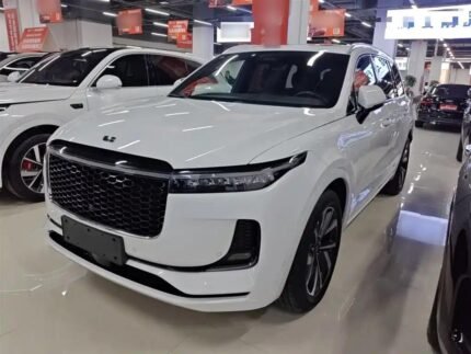 Li Xiaolu and PG One Inspired: Chinese EV Car Companies