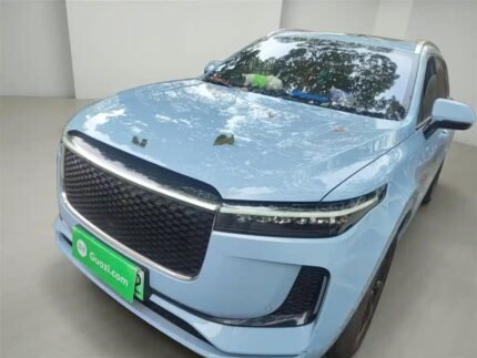 Li Xiaolu PG One Dynamic: Diverse EV Chinese Cars