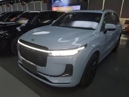 Li'l One Meaning Compact: Best Chinese EV Companies