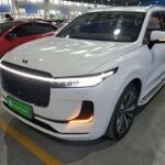 Li's Hakka #1 Restaurant Inspired: EV Chinese Cars Efficiency