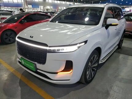 Li's Hakka #1 Restaurant Inspired: EV Chinese Cars Efficiency