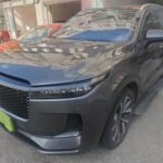 Long-Lasting Li One Battery: Top 3 Chinese EV Companies
