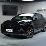 Lotus Eletre