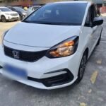 Low Fuel Consumption for Honda Fit 2020 in Chinese Car EV Progress