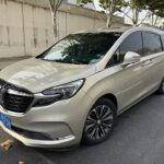Luxurious Buick GL8 Land Business Class in China Cars Review
