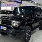 Luxury 212 t01: Powerful 6 Cylinder Used Cars China Exports