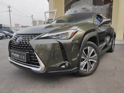 Luxury Electric SUV - Import from China