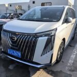 Luxury Trumpchi M8 2023 in Used Car Market China
