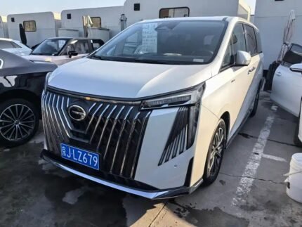 Luxury Trumpchi M8 2023 in Used Car Market China