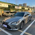 Luxury Used Lexus ES 2022 Petrol - China
