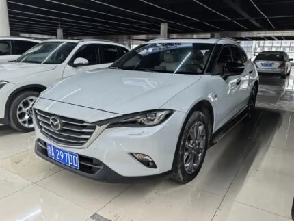 Mazda CX 4 Second Hand: Chinese Car Number Meaning Insight