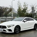 Mercedes-Benz CLS 400 2021 - Chinese EV Car Companies Source