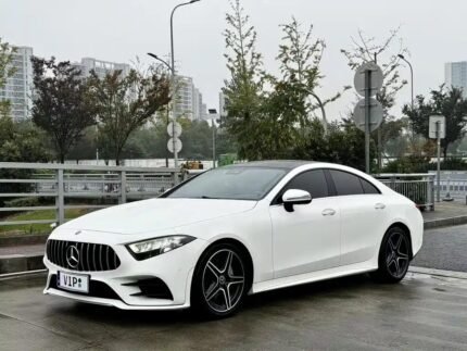 Mercedes-Benz CLS 400 2021 - Chinese EV Car Companies Source