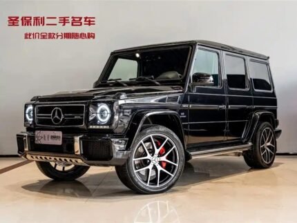 Mercedes-Benz G-Class AMG G 63 2017: China Cheap Used Car Export Icon