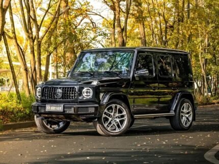 Mercedes-Benz G-Class W463 2022 - Can China Sell Cars in the US Query