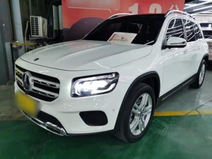 Mercedes Benz GLB 200 AMG Line: Top 5 Chinese EV Companies