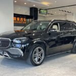 Mercedes-Benz GLS 450 2023: Chinese Car EV Alternative
