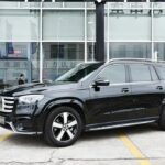 Mercedes Benz GLS 600 2024 Best Chinese EV Export