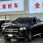 Mercedes Benz GLS Diesel 2023: Best Chinese EV Range