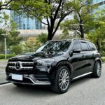 Mercedes-Benz GLS GLS 450 Biggest Chinese EV Companies