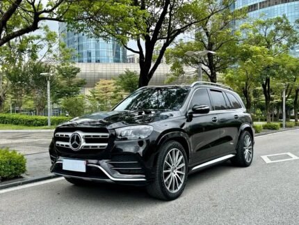 Mercedes-Benz GLS GLS 450 Biggest Chinese EV Companies